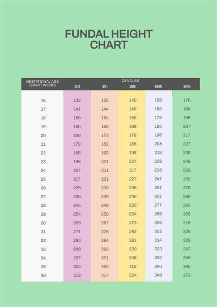 A Comprehensive Guide To His Age, Height, And Background