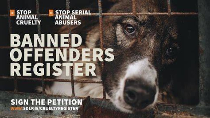 A Disturbing Case Of Animal Cruelty On Social