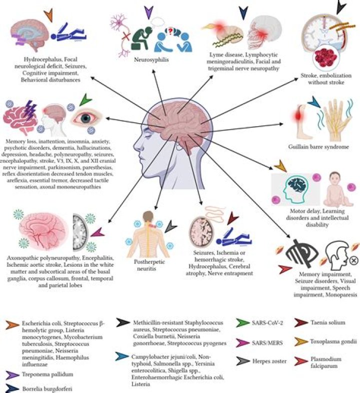 Battling Chronic Pain And Neurological Symptoms