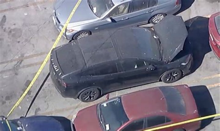 Body Found At His Property In Park City, Utah: Ken Block Autopsy |