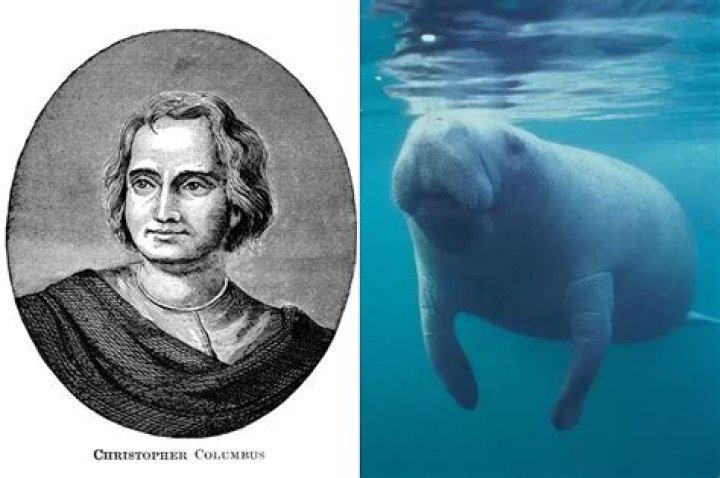 Did Christopher Columbus Sleep With A Manatee