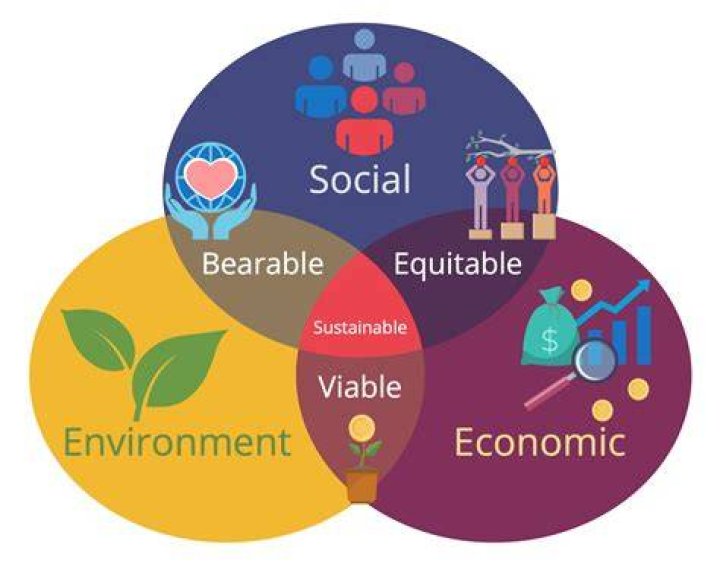 Discover The Art Of Sustainability And Social Justice With Ivon Gaete
