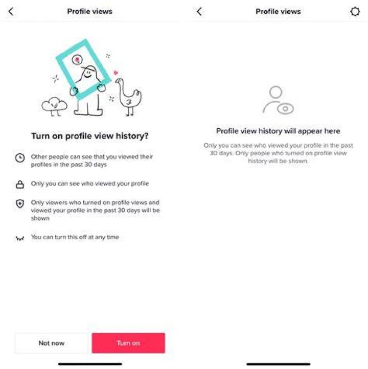 How Does Profile View History Work On