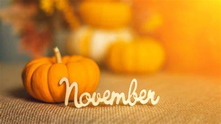 Meana Wolf No Nut November: Tips, Benefits, And Challenges