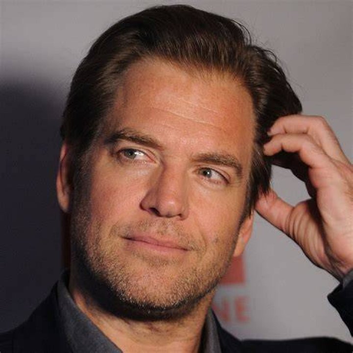Michael Weatherly's Wealth, Life, And Career: Uncovering The Hidden Truths