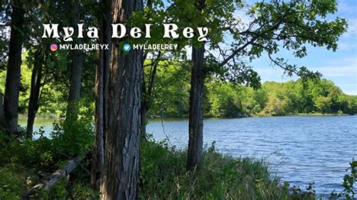 Myla Del Rey's Leaked Songs And The Impact