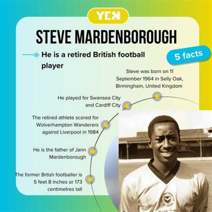 Steve Mardenborough - BlinkVib