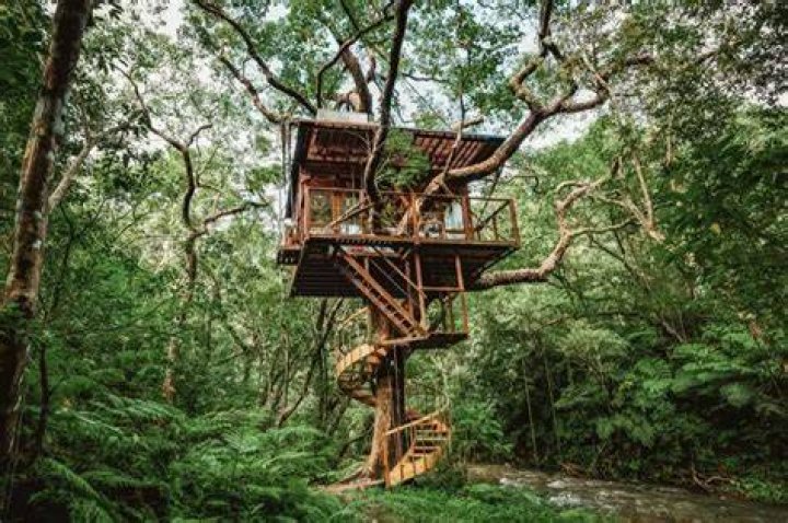 The Enchanting Haven Treehouses Through Captivating Photos