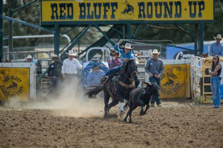The Ultimate Guide To Coy Red Bluff Ca Cowboy Rodeo Evangelist