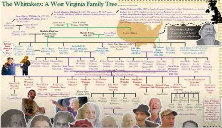 Unveiling The Cultural Tapestry Of Robert Whittaker's Ancestry: Discoveries And Insights