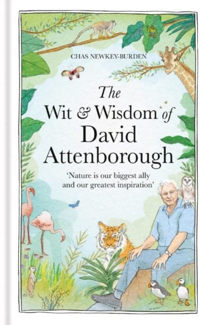 Unveiling The Wit And Wisdom Of David Spade: Discoveries And Insights