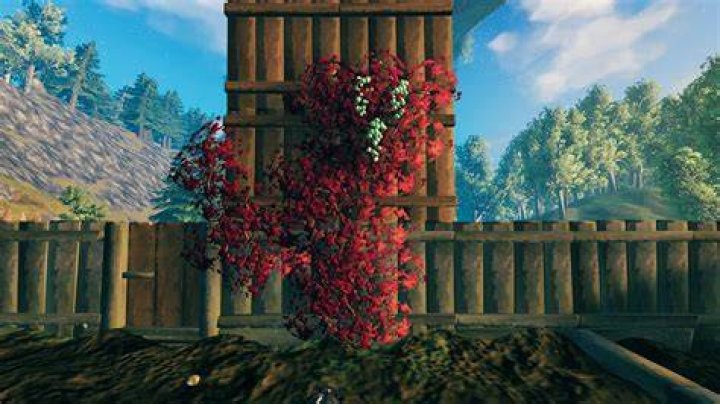 Valheim: How to Farm Trees