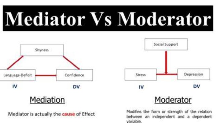What Are Moderators On Tiktok